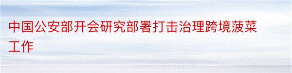 中国公安部开会研究部署打击治理跨境菠菜工作
